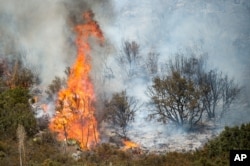 The Blue Cut fire burns in Upper Lytle Creek near Wrightwood, Calif., Aug. 19, 2016. Area residents were still being kept from their homes Saturday, even though evacuation orders were lifted for tens of thousands of others in Southern California.