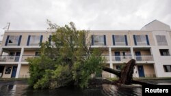 Drvo oboreno na parkingu hotela u Vilmingtonu u Severnoj Karolini, 6. septembra 2019.