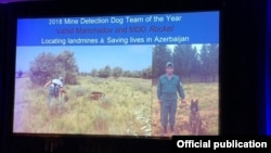 ANAMA-nin minaaxtaran iti