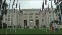 联合国人权办公室调查委内瑞拉暴力冲突