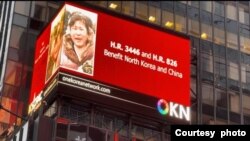 하와이에 본부를 둔 비영리단체 '원코리아네트워크(OKN)'가 21일 뉴욕 타임스스퀘어 옥외광고판에 북한 정권의 폭정을 고발하고 '거짓 평화'의 위험성을 경고하는 영상을 게시했다. 사진 제공 : OKN.