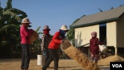 រូប​ឯកសារ៖ អ្នកភូមិក្នុងឃុំស្រយ៉ូវ ខេត្តកំពង់ធំ ហាលស្រូវខាងមុខផ្ទះ ទុកសម្រាប់លក់ឲ្យឈ្មួញ កាល​ពី​ថ្ងៃ​ទី​១៩ ខែមករា ឆ្នាំ២០១៩។ (ស៊ុន ណារិន/VOA)