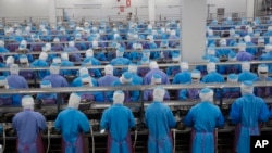 FILE - Workers peel shrimp at Thai Union factory in Samut Sakhon, Thailand, Aug. 23, 2016. Facing international pressure for failing to stop human trafficking in its seafood sector, Thailand promised almost a year ago to compensate victims of slavery and industry leaders vowed to bring all fish processing in-house.