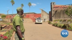 Zimbabwe Court Jails Opposition Activist for Blowing Whistle During Protest