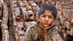 یک بام و دو هوای کاربران جمهوری اسلامی؛ اشک و آه برای غزه، بی‌اعتنایی به فلاکت مردم ایران