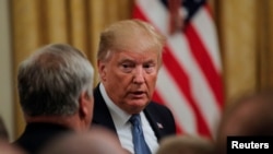 Presiden AS, Donald Trump di Gedung Putih, Washington, D.C., 8 Juli 2019.