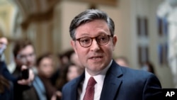 হাউস অফ রেপ্রেসেনটেটিভ স্পিকার মাইক জনসন।