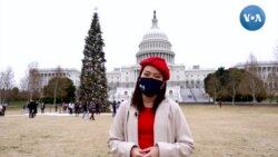 สีสันคริสต์มาสในอเมริกาช่วงโควิด-19