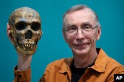 FILE - Swedish scientist Svante Paabo poses with a replica of a Neanderthal skeleton at the Max Planck Institute for Evolutionary Anthropology in Leipzig, Germany, Monday, Oct. 3, 2022. (AP Photo/Matthias Schrader)