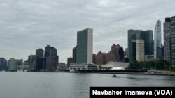 Nyu-Yorkda asoslangan BMT Bosh kotibiyatining o'zida qariyb 9000 xodim bor. Ularning ham soni kamayishi kutilmoqda