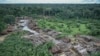 Scientists Warn New Brazil President May Smother Rainforest