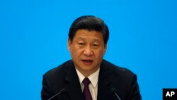 China's President Xi Jinping speaks during a meeting with representatives of entrepreneurs at the annual Boao Forum in Boao, in southern China's Hainan province, April 8, 2013. 