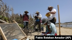 In this June 14, 2019 photo, Puerto Rican students of the Center for Advanced Studies for Puerto Rico and the Caribbean, and their professor Isabel Rivera-Collazo, kneeling, study the impact that Hurricane Maria had on coastal archaeological resources in Manati, Puerto Rico.
