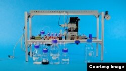Researchers from Microsoft say they successfully demonstrated that its DNA storage system encoding the word 'hello' in pieces of DNA and then converted it back to data. (Microsoft)