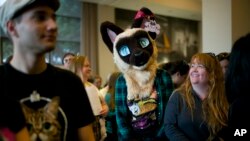 Kostum kucing di CatCon, Los Angeles