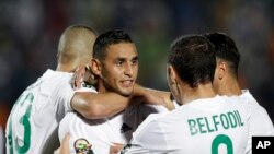 L'Algérien Faouzi Ghoulam, au centre, est félicité par ses coéquipiers pour avoir marqué à but, lors d'un match de la CAN, le 19 janvier 2015.