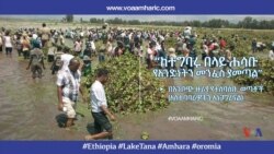 “ከተግባሩ በላይ ሐሳቡ የአንድነትን መንፈስ ያመጣል”- በእንቦጭ ዙሪያ የተሰባሰቡ ወጣቶች