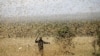 Locusts, COVID-19 Combination Pose Dire Threat to East Africa