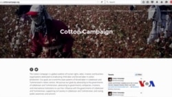 Cotton Campaign and Forced Labor in Uzbekistan - Interview with VOA Uzbek