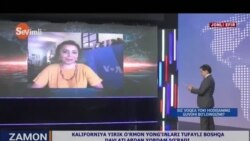 "Zamon"-"Amerika Ovozi": AQShda saylov kampaniyasi qay pallada?