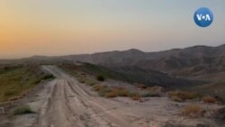 Otabekning dalasi: Andijon qirlarida tabiat uchun kurash 