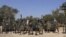 FILE - A picture shows a group of Boko Haram fighters.