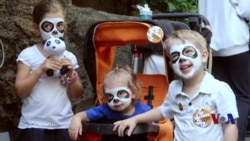 走进美国：华裔熊猫童星成长记