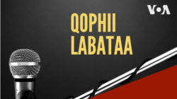 Qophii Labataa, Jimaata Hagayya 20