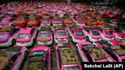 A recent picture of garden taxis in Thailand. September 16, 2021. (AP Photo/Sakchai Lalit)
