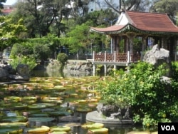 台北郊区的双溪公园 (美国之音许波拍摄)