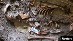 A skeleton dating from almost 10,000 years ago which was found in the Kotias Klde rock shelter in Western Georgia is seen in an undated picture courtesy of the University of Cambridge, in Cambridge, U.K.