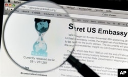 WikiLeaks Concern for South African Freedom of Information Activists