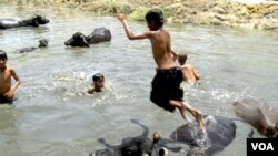 Anak-anak di India berendam di sungai untuk meredakan serangan udara panas.