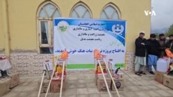 توزیع نهال هنگ در بدخشان؛ دهقانان با پرورش آن آشنایی ندارند