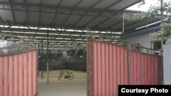 图为该台商企业遭强拆前的外景。 (寰宇兴业提供)