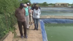Sénégal : L'aquaculture, une solution face à la crise de la pêche