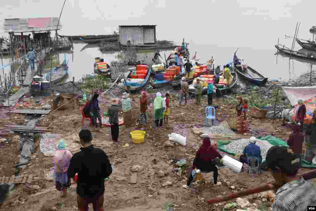 ទិដ្ឋភាព​ទូទៅ​នៃការរកត្រីប្រហុកនៅក្នុងតំបន់ផែនេសាទគីឡូម៉ែត្រលេខ៩ ក្នុងខណ្ឌឬស្សីកែវ រាជធានីភ្នំពេញ នៅថ្ងៃទី២៧ ខែធ្នូ ឆ្នាំ២០១៧ (ស៊ុន ណារិន/VOA)