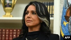 যুক্তরাষ্ট্রের জাতীয় গোয়েন্দা দপ্তরের নতুন প্রধান তুলসী গ্যাবার্ড। ফটোঃ ১১ ফেব্রুয়ারি, ২০২৫। 