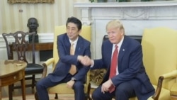 Trump and Abe Shake Hands in Oval Office