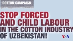 Cotton Campaign: Ending forced labor is a litmus test for Uzbekistan