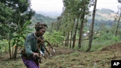 A woman works in the field of Loi Bangoti's farm on Wednesday, July 18, 2007 in Ngiresi near the Tanzanian town of Arusha. Millions of farmers around the world will be affected by a growing movement to change one of the biggest forces shaping the complex