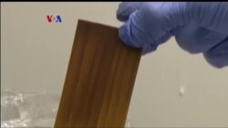 Peneliti di AS Kembangkan Kayu Superkuat