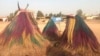 Ces masques sont venus du Bénin pour participer à la fête du Vaudou au Burkina Faso, Ouagadougou, le 12 janvier 2020. (VOA/Kader Traoré)