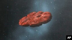 This 2018 illustration provided by William Hartmann and Michael Belton shows a depiction of the Oumuamua interstellar object as a pancake-shaped disk. A study published in March 2021 says the mystery object is likely a remnant of a Pluto-like world and shaped like a cookie. 