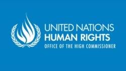 Mootummoota Gamtoomanitti Komishinarii Ol'aanaan Damee Mirga Dhala Nama Haalli Itoophiyaa Keessaa Qama Walaban Akka Qoratamu Waamicha Dhiheesse