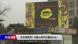 时事大家谈：专访汉学家林培瑞：如何看当今中国语言文化、官民价值观对峙？