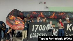 Ekofəalların böyük ekoloji çirkləndiricilərə qarşı etiraz aksiyası