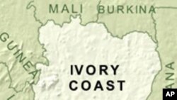 صدارتی انتخاب میں موجود صدر رابرٹ موگابے اور وزیراعظم مورگن سوانگیرائی کے درمیان سخت مقابلہ ہے۔