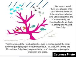 A page from marine biologist Danielle Dixson's children's books.
