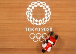 ძალოსანი გოგა ჩხეიძე